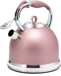 stainless steel kettle for wood stove